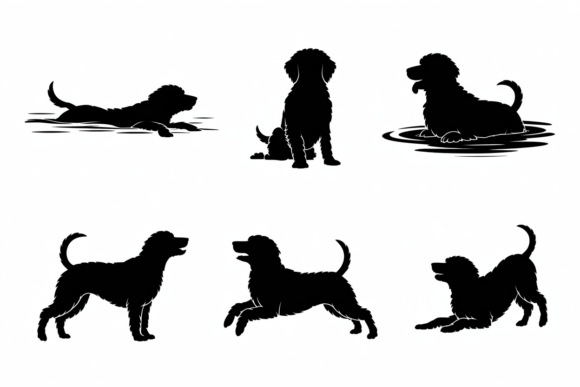 Dog Silhouettes Poses Vector: A Designer’s Hands-On Review