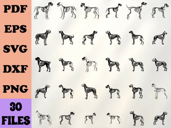 Dog Skeleton Silhouette – A Designer's Review for Real Embroidery Projects